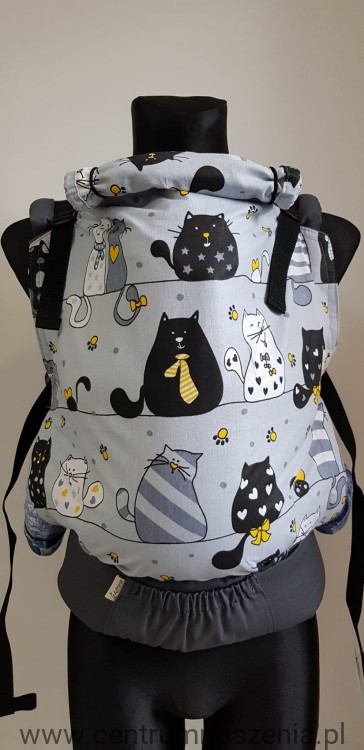Almelle preschool-cats.jpg