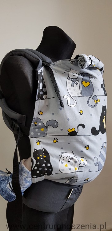 Almelle preschool-cats1.jpg