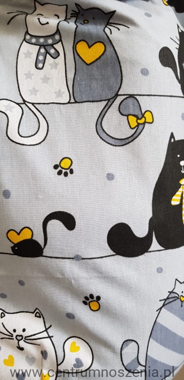 Almelle preschool-cats2.jpg