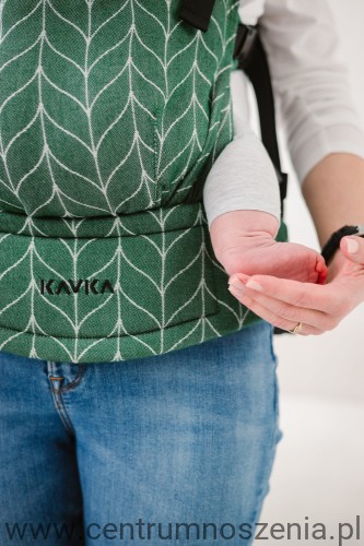 kavka_multi-age_fern_braid_magnetic1.jpg