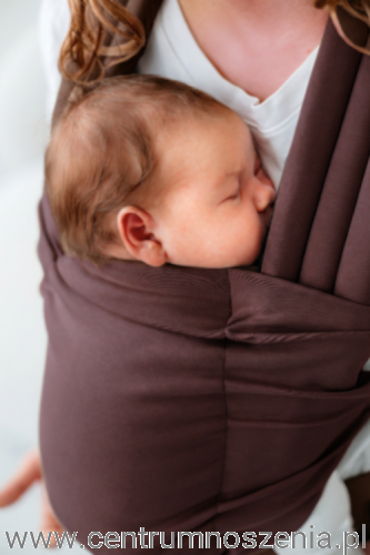 Kavka_nest_brown1.webp