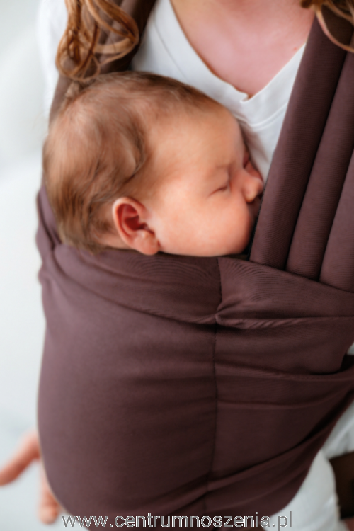 Kavka_nest_brown1.webp