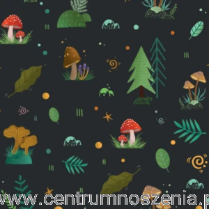 grzyby-grafitowe-1-300x300.png